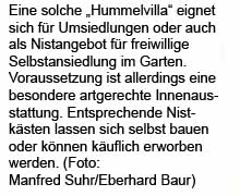 Hummelkasten Text