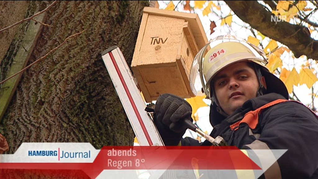 sammeln